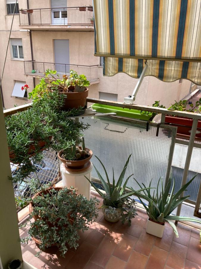 B&B Marsiglia Σάσαρι Εξωτερικό φωτογραφία
